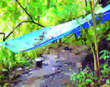 Uppinangady: Cops raid illegal butchery; arrest 3, seize 2 calves